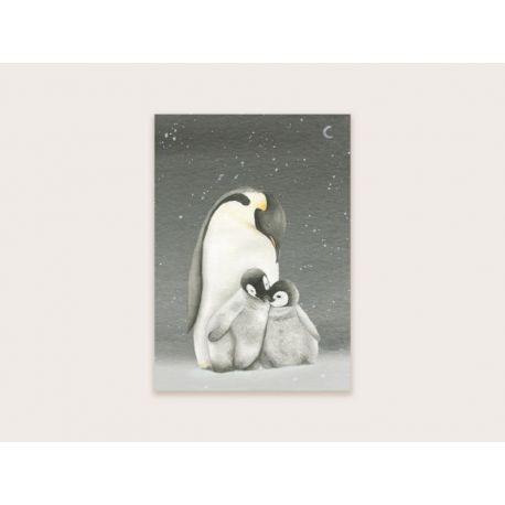 Pinguïns donker, Appeloogje Ansichtkaart A6