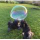 Dr Zigs - Bubbels voor honden set
